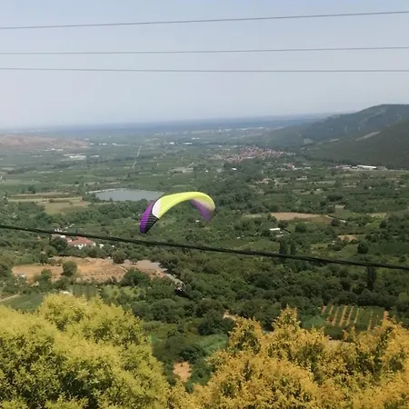 With View *