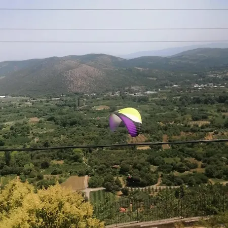 With View *