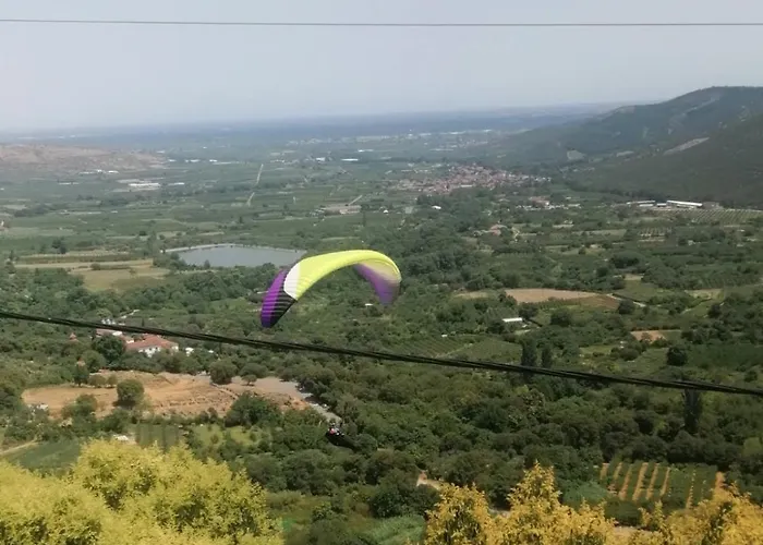 With View *