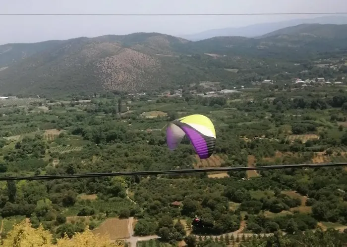 With View *